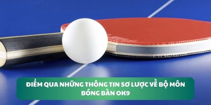 Điểm qua những thông tin sơ lược về bộ môn Bóng bàn OK9