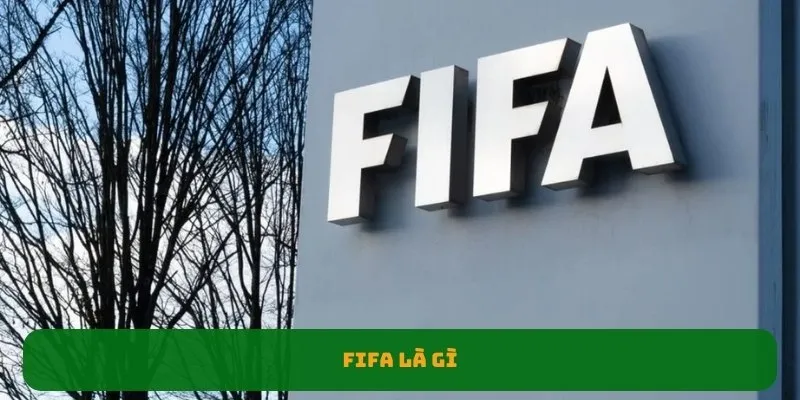 Tổng quan về ban tổ chức bóng đá FIFA