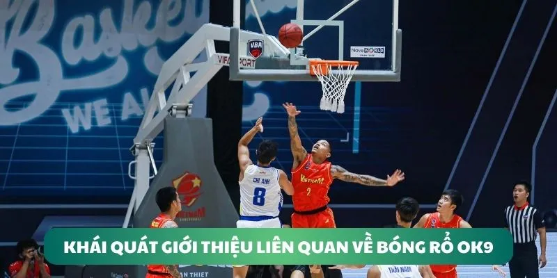 Khái quát giới thiệu liên quan về bóng rổ OK9