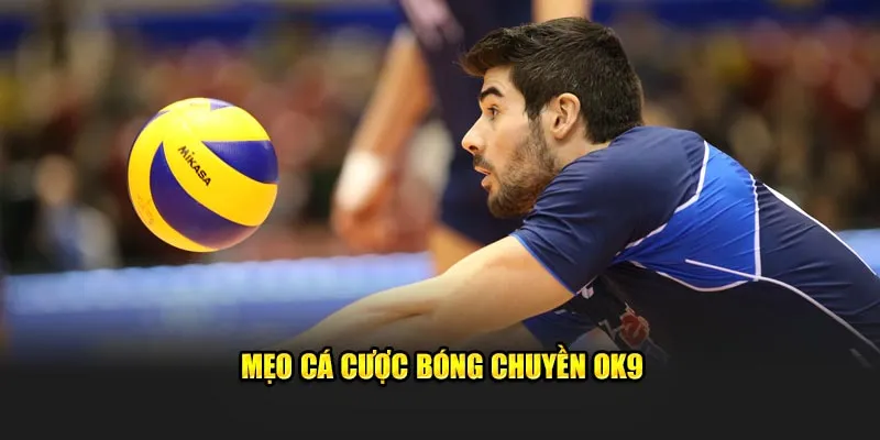 Mẹo cược bóng chuyền OK9