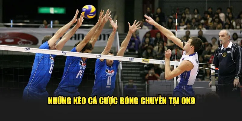 Những kèo bóng chuyền OK9 hấp dẫn